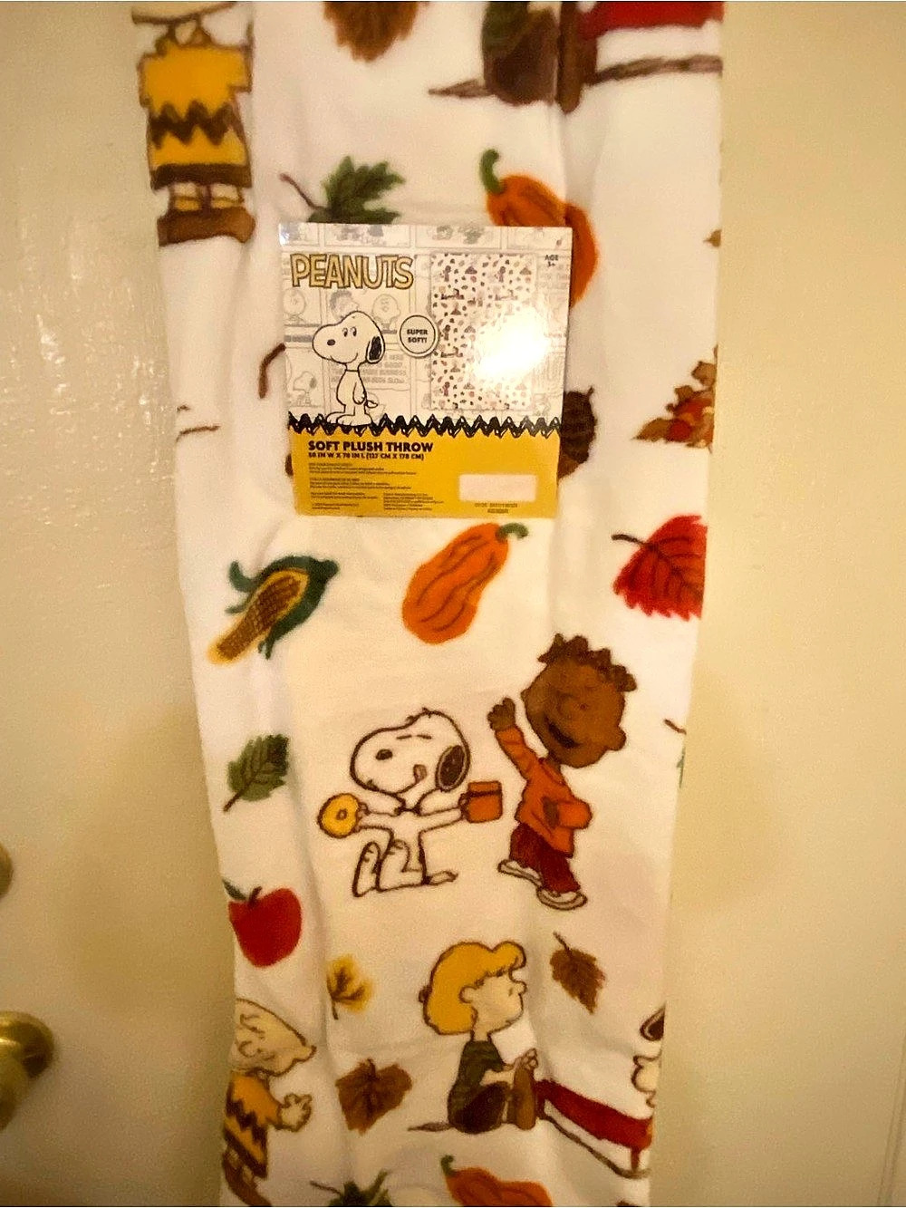 Peanuts Soft Plush Throw Fall Print NWT